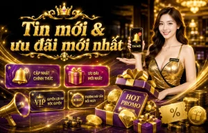 naptelrecords tin tức nổi bật